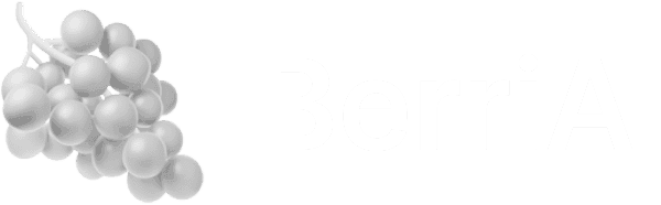 Berri AI