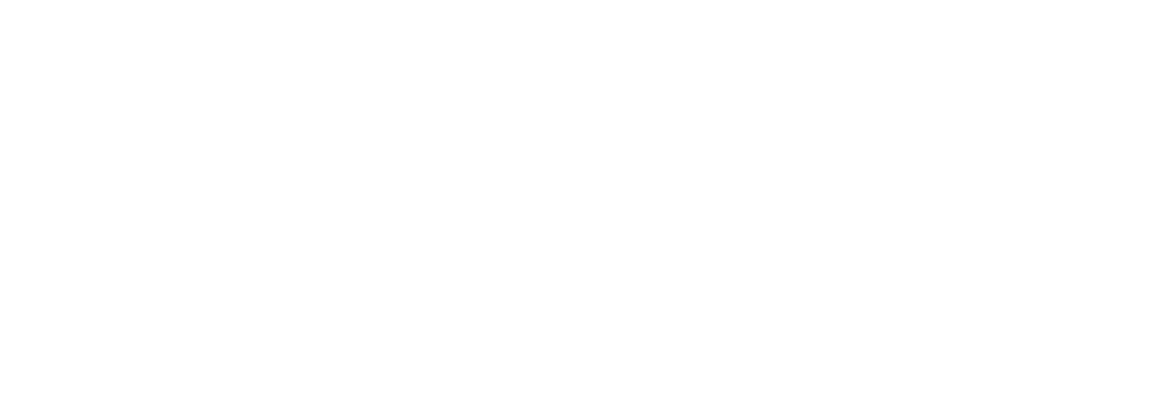 Rally