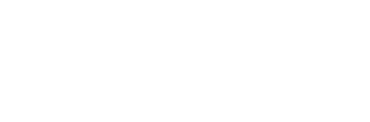 Phoenix Energy